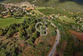 DENİZLİ TAVAS'TA 2400 M2 ARSA - 1 - 361311