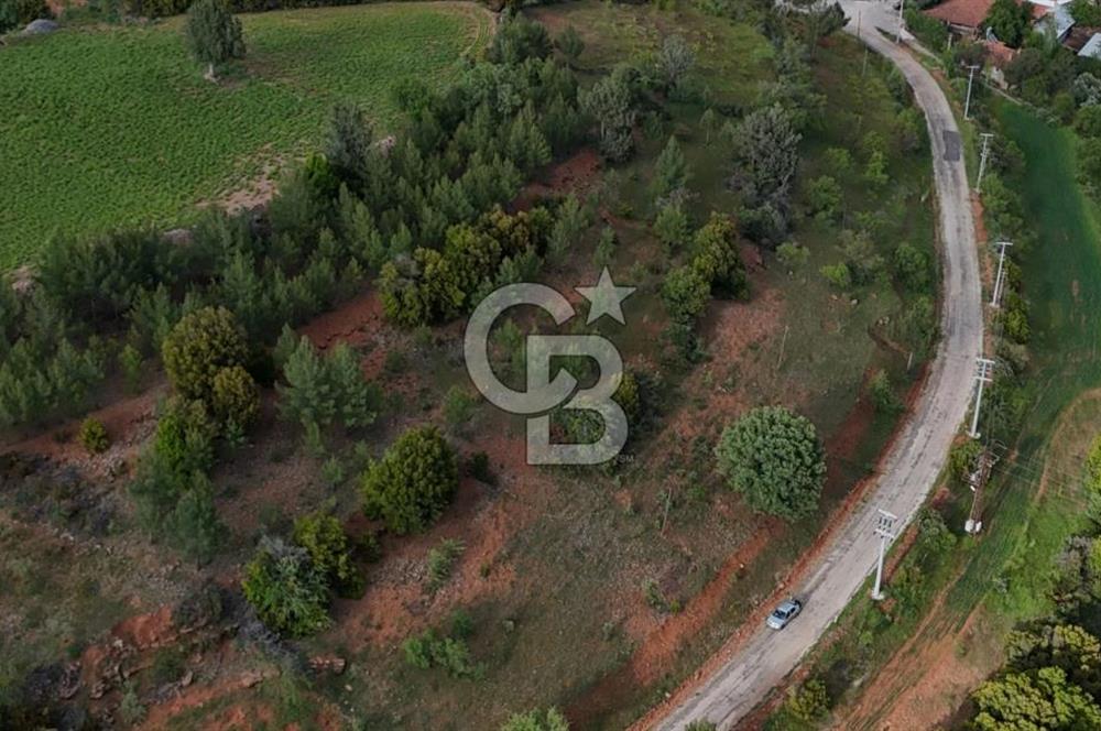 DENİZLİ TAVAS'TA 2400 M2 ARSA