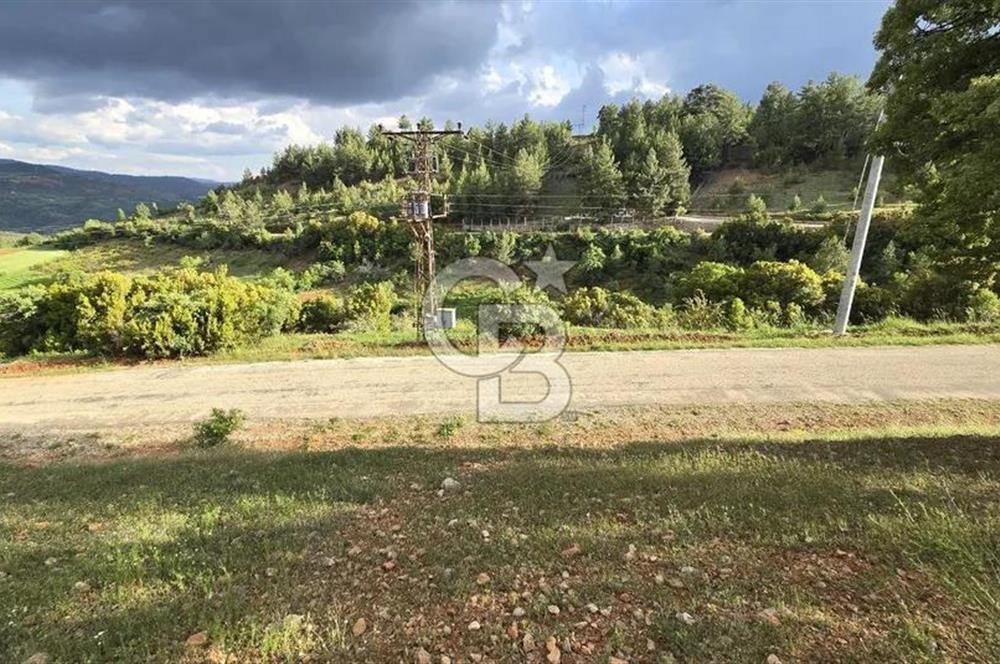 DENİZLİ TAVAS'TA 2400 M2 ARSA