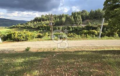 DENİZLİ TAVAS'TA 2400 M2 ARSA