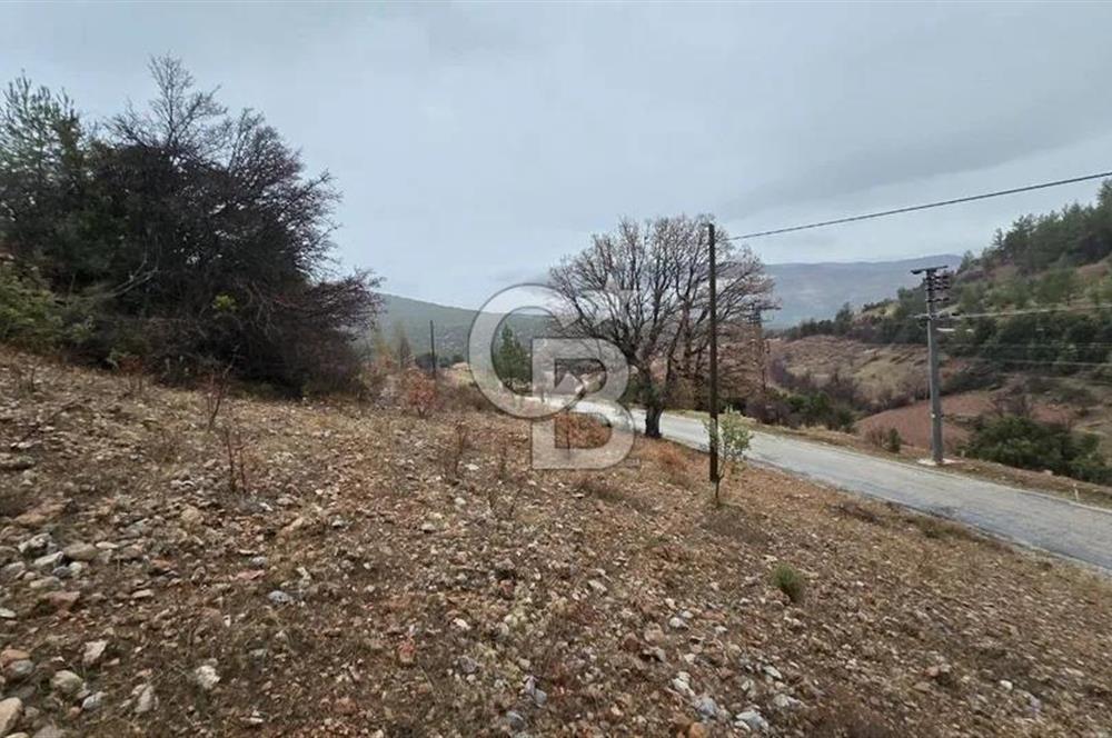 DENİZLİ TAVAS'TA 2400 M2 ARSA