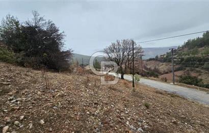 DENİZLİ TAVAS'TA 2400 M2 ARSA