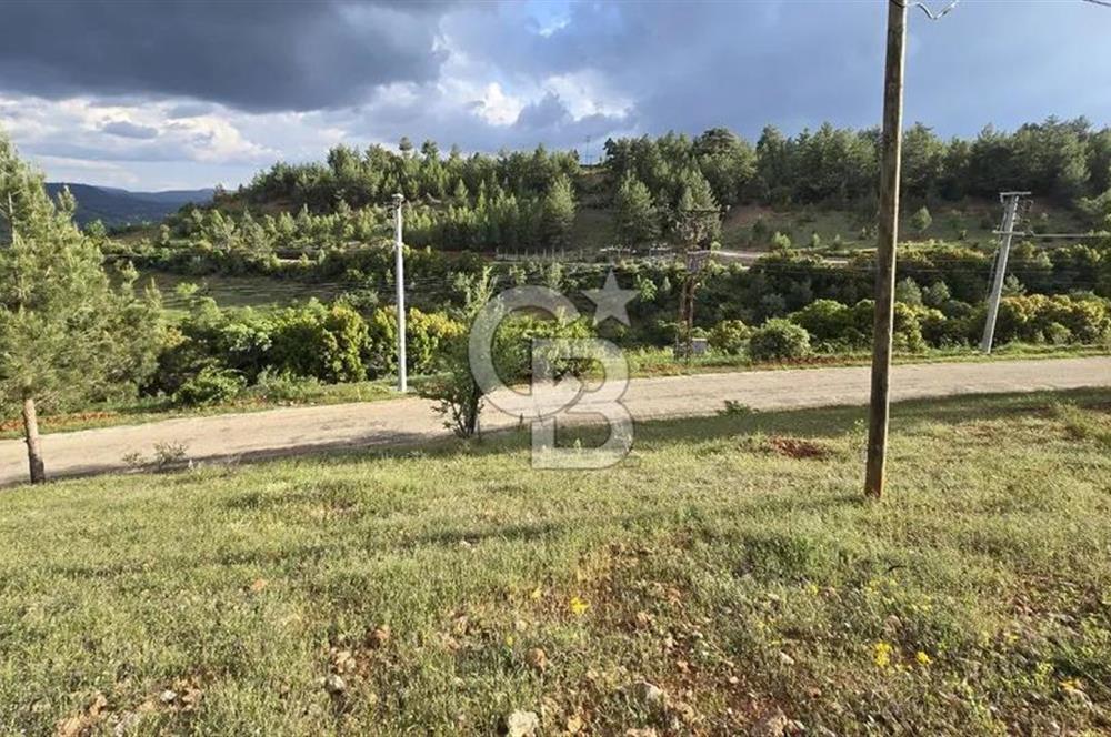 DENİZLİ TAVAS'TA 2400 M2 ARSA