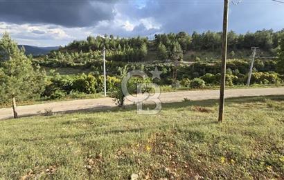 DENİZLİ TAVAS'TA 2400 M2 ARSA