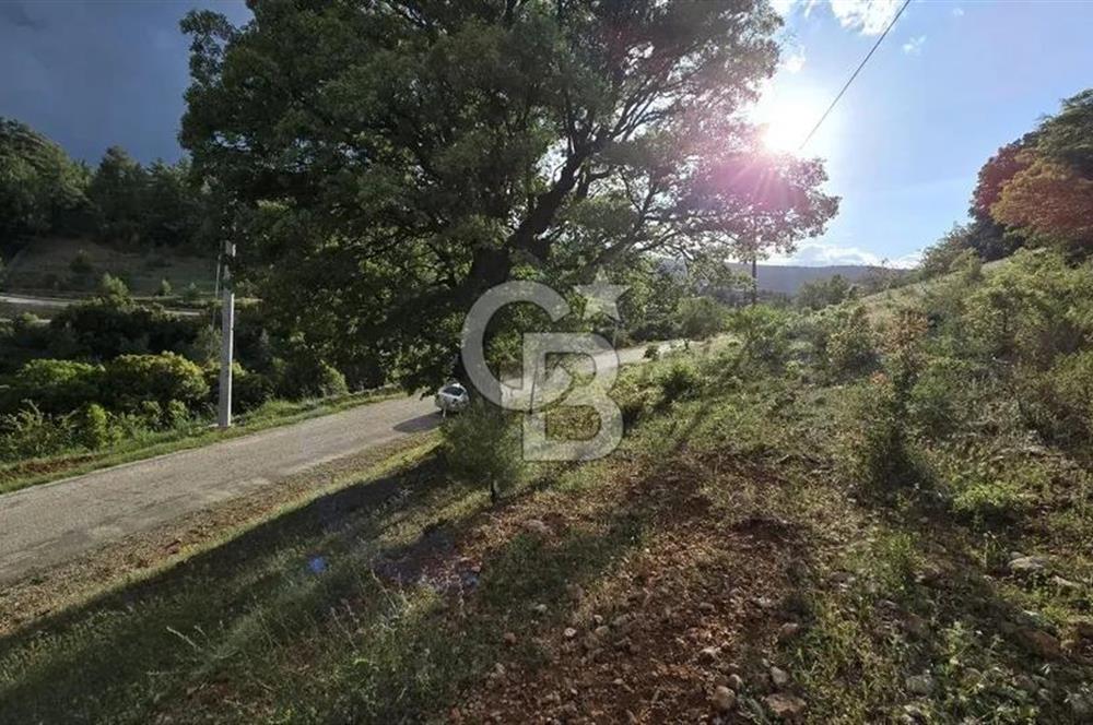 DENİZLİ TAVAS'TA 2400 M2 ARSA