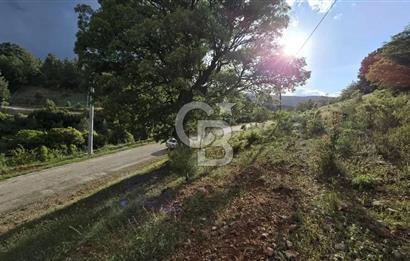 DENİZLİ TAVAS'TA 2400 M2 ARSA