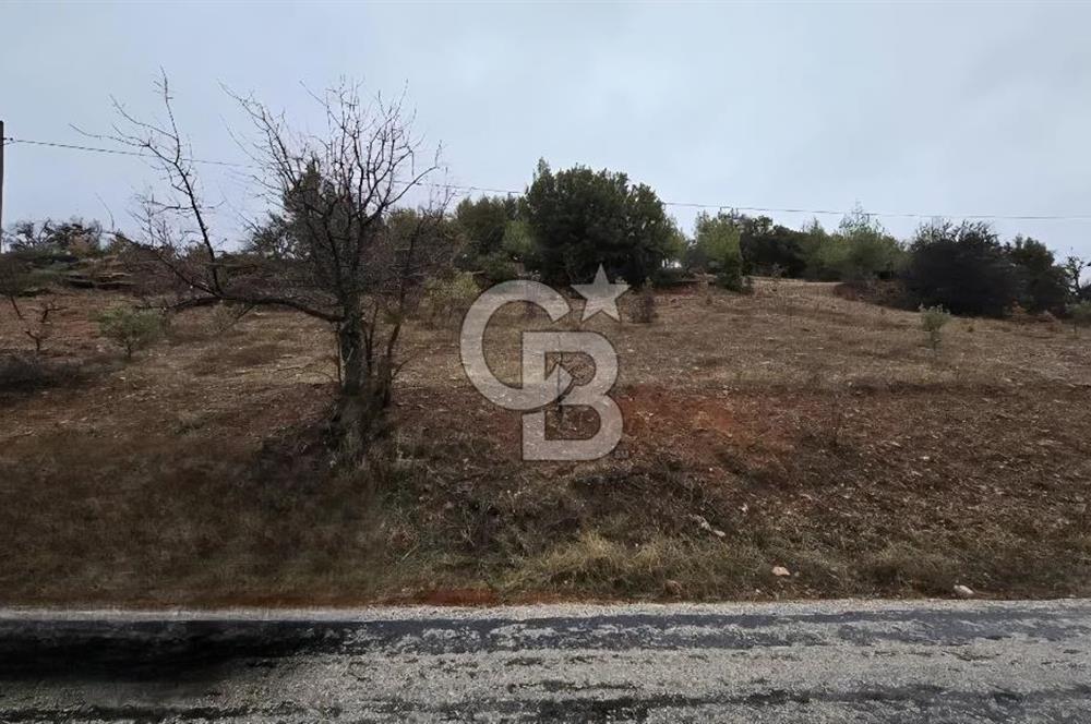 DENİZLİ TAVAS'TA 2400 M2 ARSA