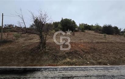 DENİZLİ TAVAS'TA 2400 M2 ARSA