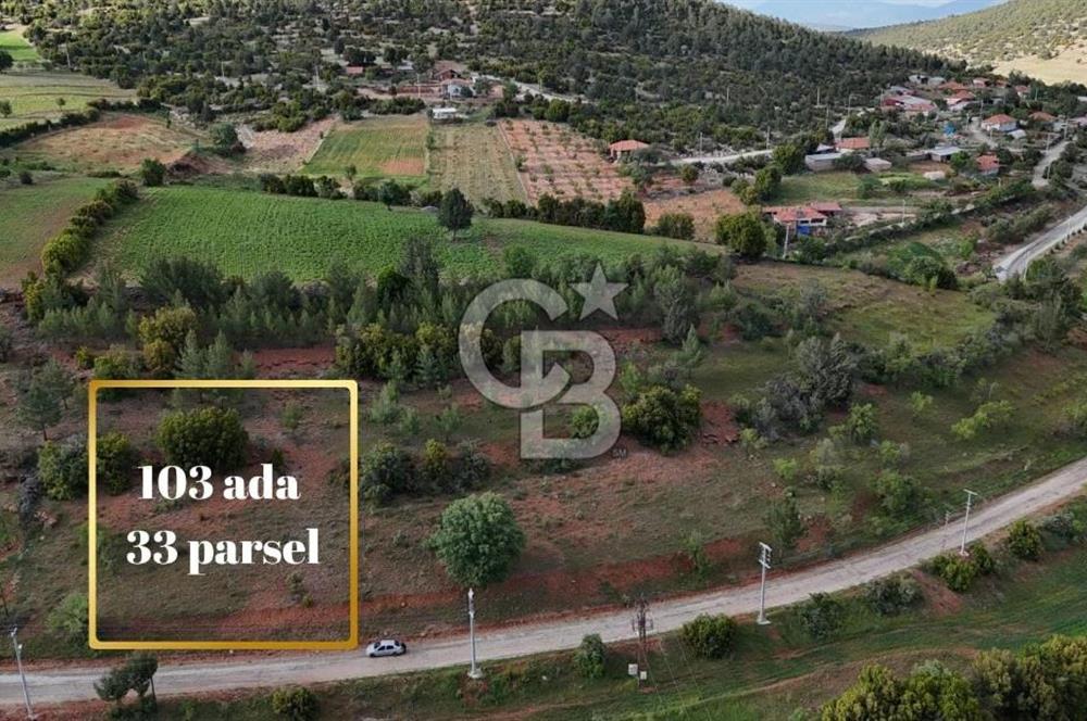 DENİZLİ TAVAS'TA 2400 M2 ARSA