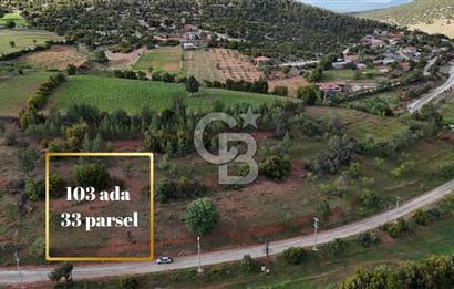 DENİZLİ TAVAS'TA 2400 M2 ARSA