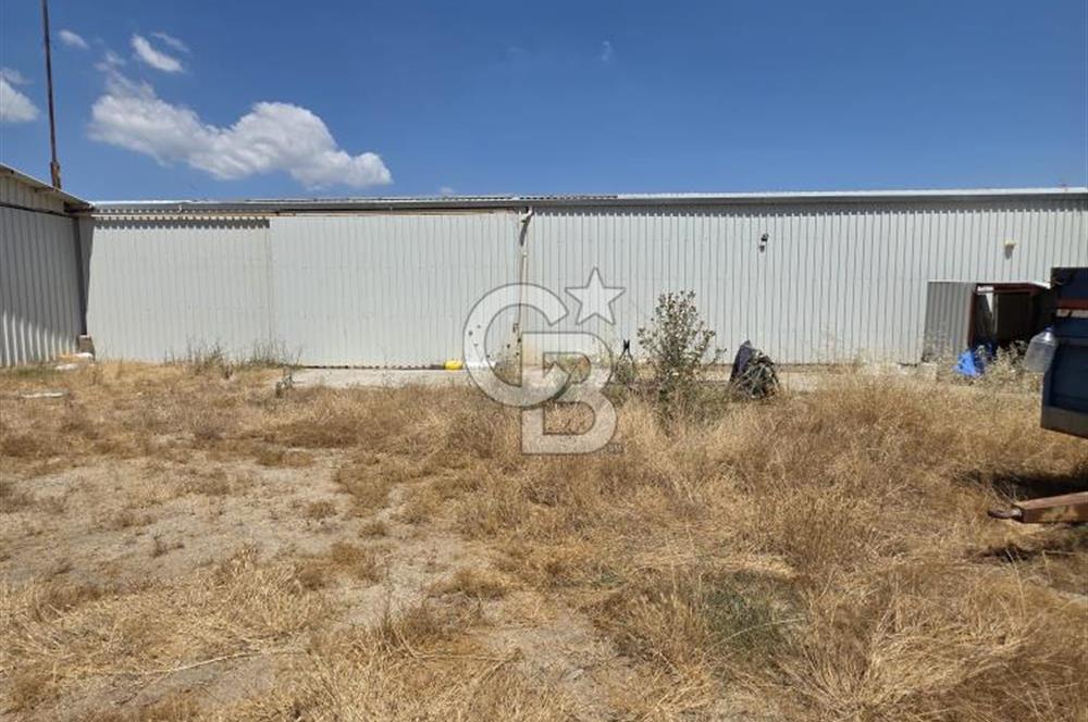 BİGA DANİŞMENT KÖYÜ 1. SINIF NİTELİKLİ CEVİZ BAHÇESİ ve ÇİFTLİK AÇIKLAMAYI OKUYUN