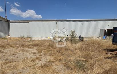 BİGA DANİŞMENT KÖYÜ 1. SINIF NİTELİKLİ CEVİZ BAHÇESİ ve ÇİFTLİK AÇIKLAMAYI OKUYUN
