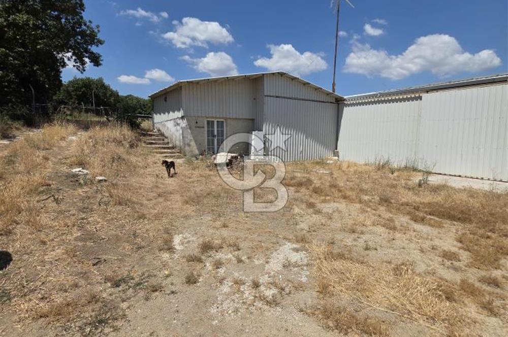 BİGA DANİŞMENT KÖYÜ 1. SINIF NİTELİKLİ CEVİZ BAHÇESİ ve ÇİFTLİK AÇIKLAMAYI OKUYUN