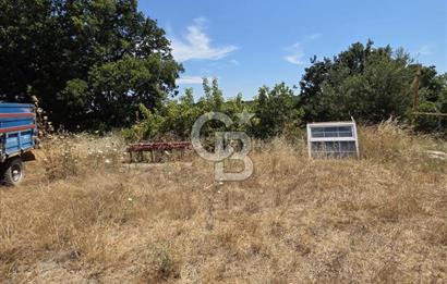 BİGA DANİŞMENT KÖYÜ 1. SINIF NİTELİKLİ CEVİZ BAHÇESİ ve ÇİFTLİK AÇIKLAMAYI OKUYUN