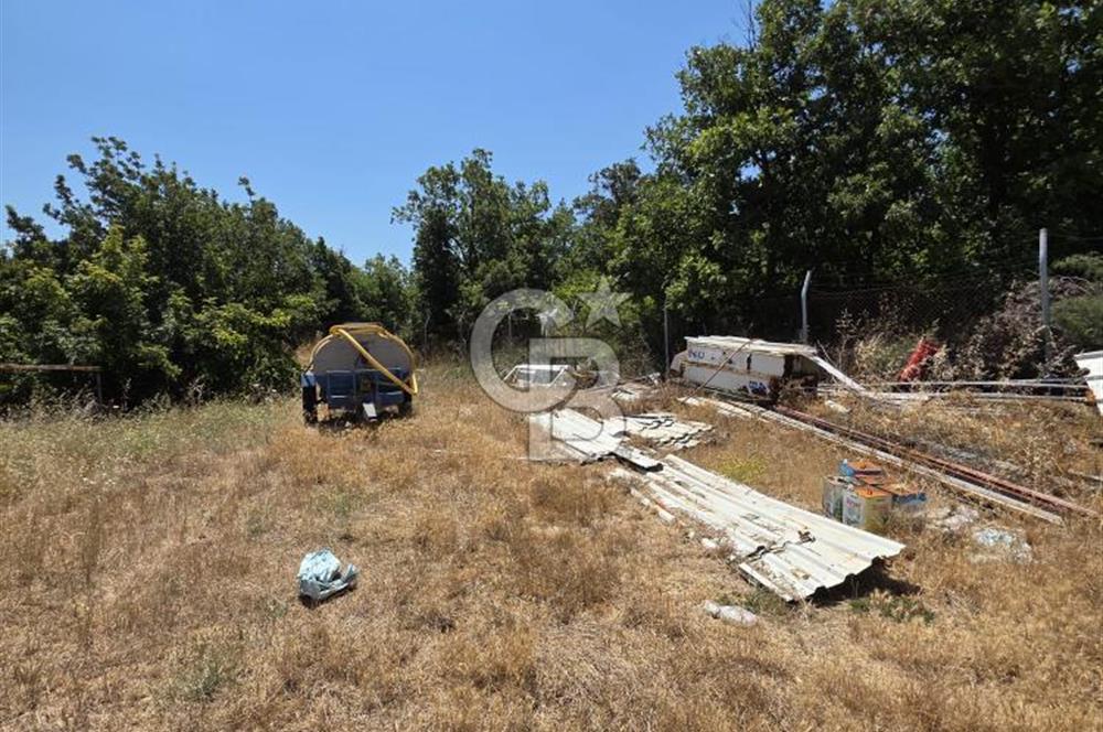 BİGA DANİŞMENT KÖYÜ 1. SINIF NİTELİKLİ CEVİZ BAHÇESİ ve ÇİFTLİK AÇIKLAMAYI OKUYUN