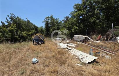 BİGA DANİŞMENT KÖYÜ 1. SINIF NİTELİKLİ CEVİZ BAHÇESİ ve ÇİFTLİK AÇIKLAMAYI OKUYUN