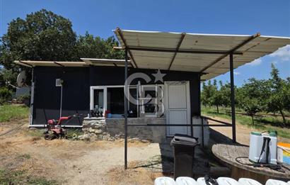 BİGA DANİŞMENT KÖYÜ 1. SINIF NİTELİKLİ CEVİZ BAHÇESİ ve ÇİFTLİK AÇIKLAMAYI OKUYUN