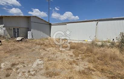 BİGA DANİŞMENT KÖYÜ 1. SINIF NİTELİKLİ CEVİZ BAHÇESİ ve ÇİFTLİK AÇIKLAMAYI OKUYUN