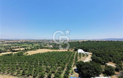 BİGA DANİŞMENT KÖYÜ 1. SINIF NİTELİKLİ CEVİZ BAHÇESİ ve ÇİFTLİK AÇIKLAMAYI OKUYUN