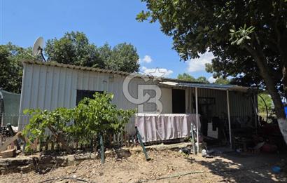BİGA DANİŞMENT KÖYÜ 1. SINIF NİTELİKLİ CEVİZ BAHÇESİ ve ÇİFTLİK AÇIKLAMAYI OKUYUN
