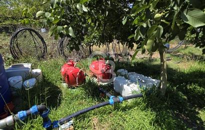BİGA DANİŞMENT KÖYÜ 1. SINIF NİTELİKLİ CEVİZ BAHÇESİ ve ÇİFTLİK AÇIKLAMAYI OKUYUN