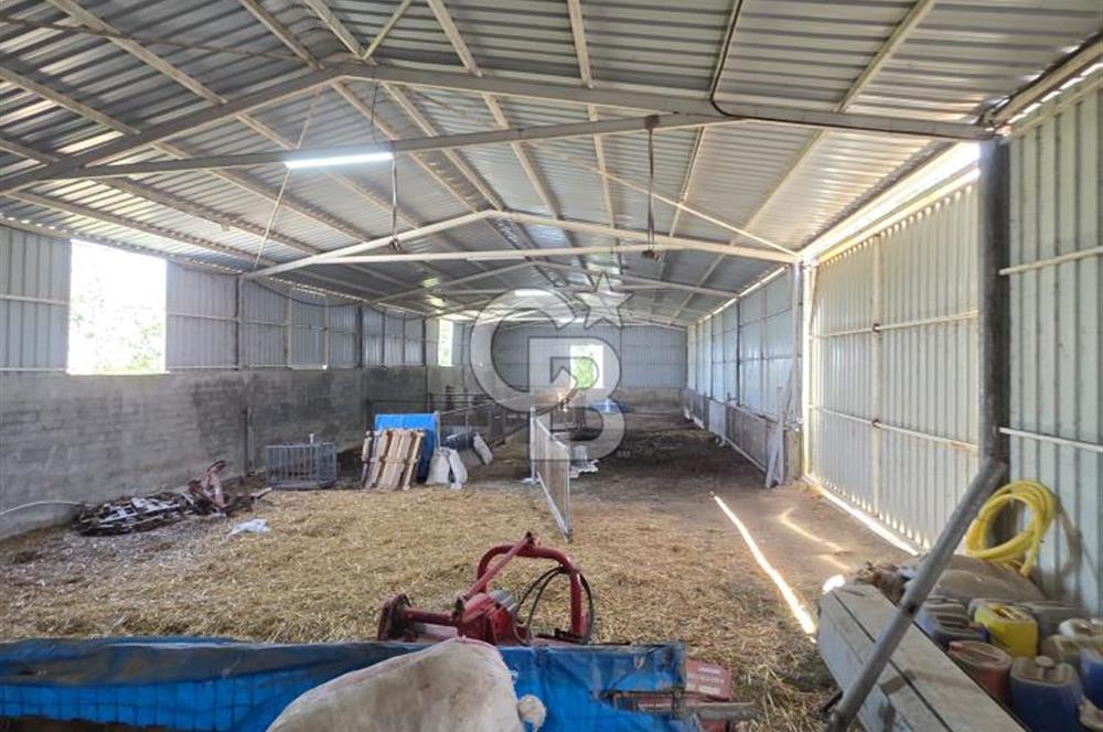BİGA DANİŞMENT KÖYÜ 1. SINIF NİTELİKLİ CEVİZ BAHÇESİ ve ÇİFTLİK AÇIKLAMAYI OKUYUN