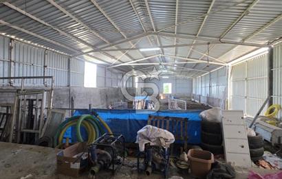 BİGA DANİŞMENT KÖYÜ 1. SINIF NİTELİKLİ CEVİZ BAHÇESİ ve ÇİFTLİK AÇIKLAMAYI OKUYUN
