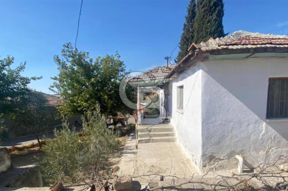 MANİSA SALİHLİ DOMBAYLI KÖYÜNDE SATILIK ZEYTİNLİKLİ KÖY EVİ