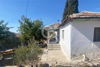 MANİSA SALİHLİ DOMBAYLI KÖYÜNDE SATILIK ZEYTİNLİKLİ KÖY EVİ - 1 - 362107