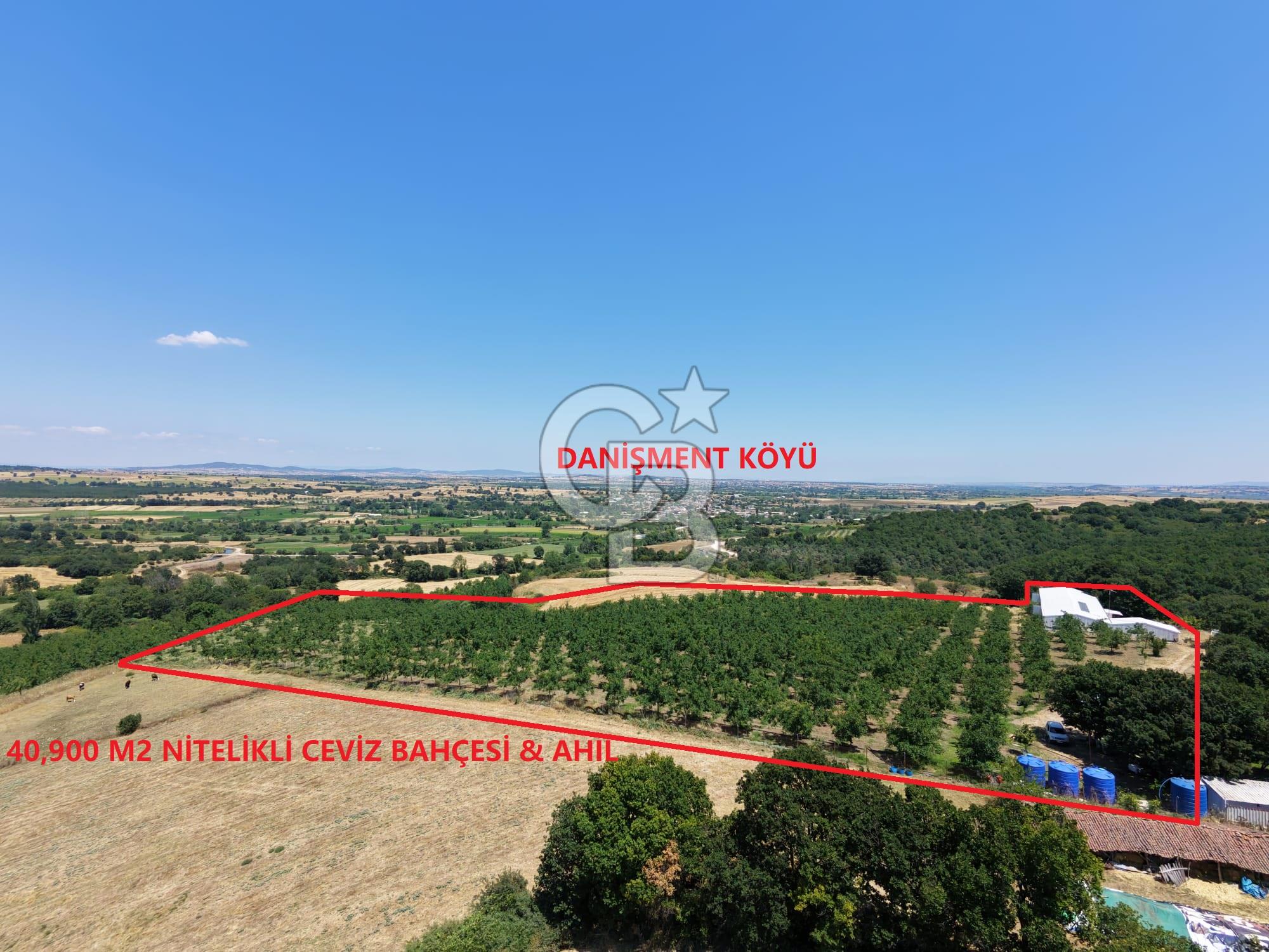 BİGA DANİŞMENT KÖYÜ 1. SINIF NİTELİKLİ CEVİZ BAHÇESİ ve ÇİFTLİK AÇIKLAMAYI OKUYUN