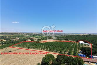 BİGA DANİŞMENT KÖYÜ 1. SINIF NİTELİKLİ CEVİZ BAHÇESİ ve ÇİFTLİK AÇIKLAMAYI OKUYUN - 3 - 362104
