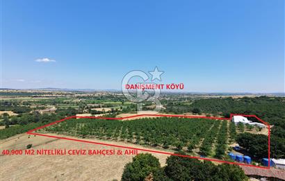 BİGA DANİŞMENT KÖYÜ 1. SINIF NİTELİKLİ CEVİZ BAHÇESİ ve ÇİFTLİK AÇIKLAMAYI OKUYUN