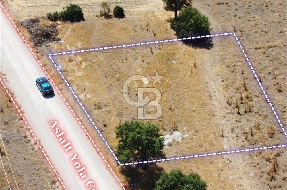 Denizli Acıpayam'da İmarlı, Asfalt Cepheli Satılık Arsa (718m²)