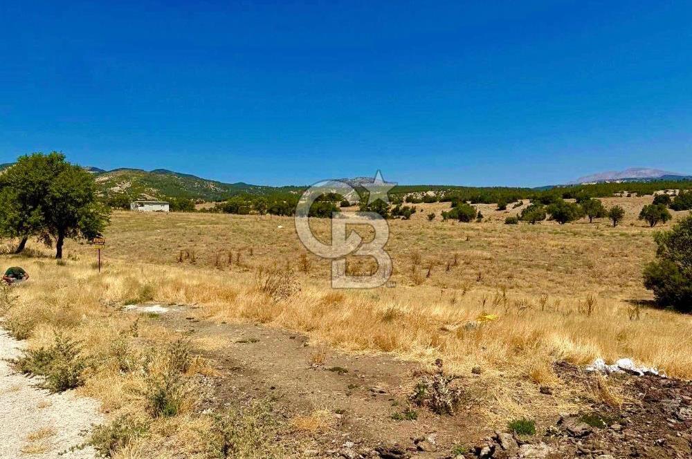 Denizli Acıpayam'da İmarlı, Asfalt Cepheli Satılık Arsa (718m²)