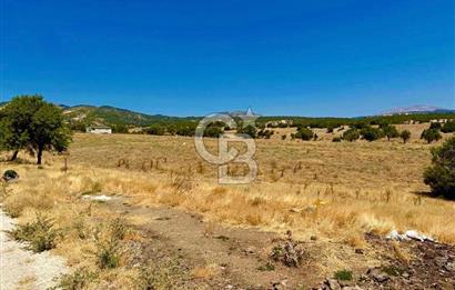 Denizli Acıpayam'da İmarlı, Asfalt Cepheli Satılık Arsa (718m²)