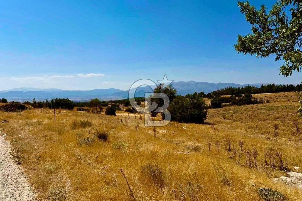 Denizli Acıpayam'da İmarlı, Asfalt Cepheli Satılık Arsa (718m²)