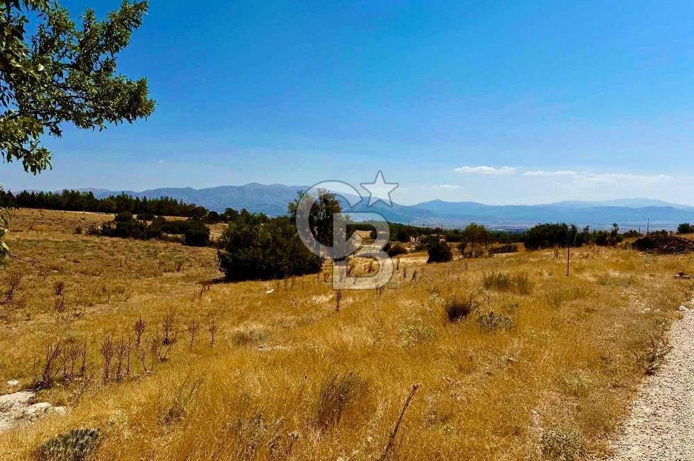 Denizli Acıpayam'da İmarlı, Asfalt Cepheli Satılık Arsa