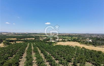 BİGA DANİŞMENT KÖYÜ 1. SINIF NİTELİKLİ CEVİZ BAHÇESİ ve ÇİFTLİK AÇIKLAMAYI OKUYUN