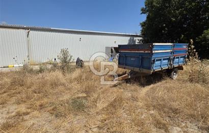 BİGA DANİŞMENT KÖYÜ 1. SINIF NİTELİKLİ CEVİZ BAHÇESİ ve ÇİFTLİK AÇIKLAMAYI OKUYUN