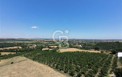 BİGA DANİŞMENT KÖYÜ 1. SINIF NİTELİKLİ CEVİZ BAHÇESİ ve ÇİFTLİK AÇIKLAMAYI OKUYUN