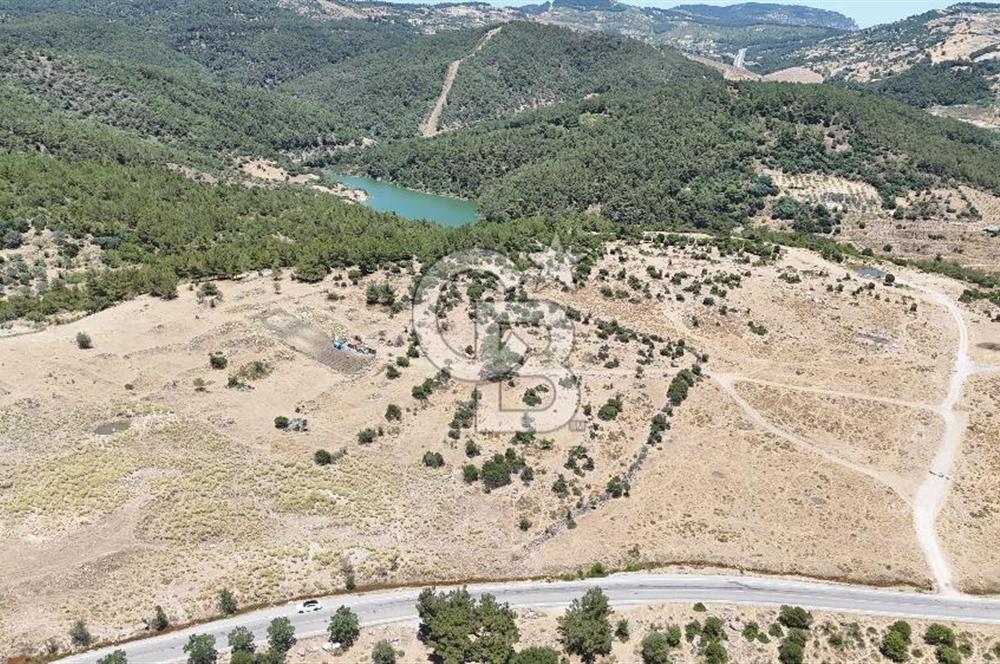 İZMİR BORNOVA KARAÇAM YOL CEPHELİ TARLA 