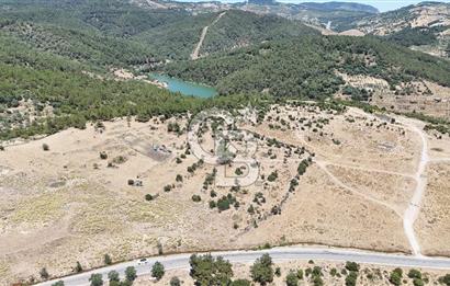 İZMİR BORNOVA KARAÇAM YOL CEPHELİ TARLA 