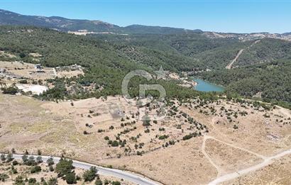 İZMİR BORNOVA KARAÇAM YOL CEPHELİ TARLA 