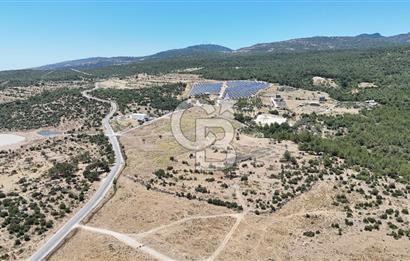 İZMİR BORNOVA KARAÇAM YOL CEPHELİ TARLA 