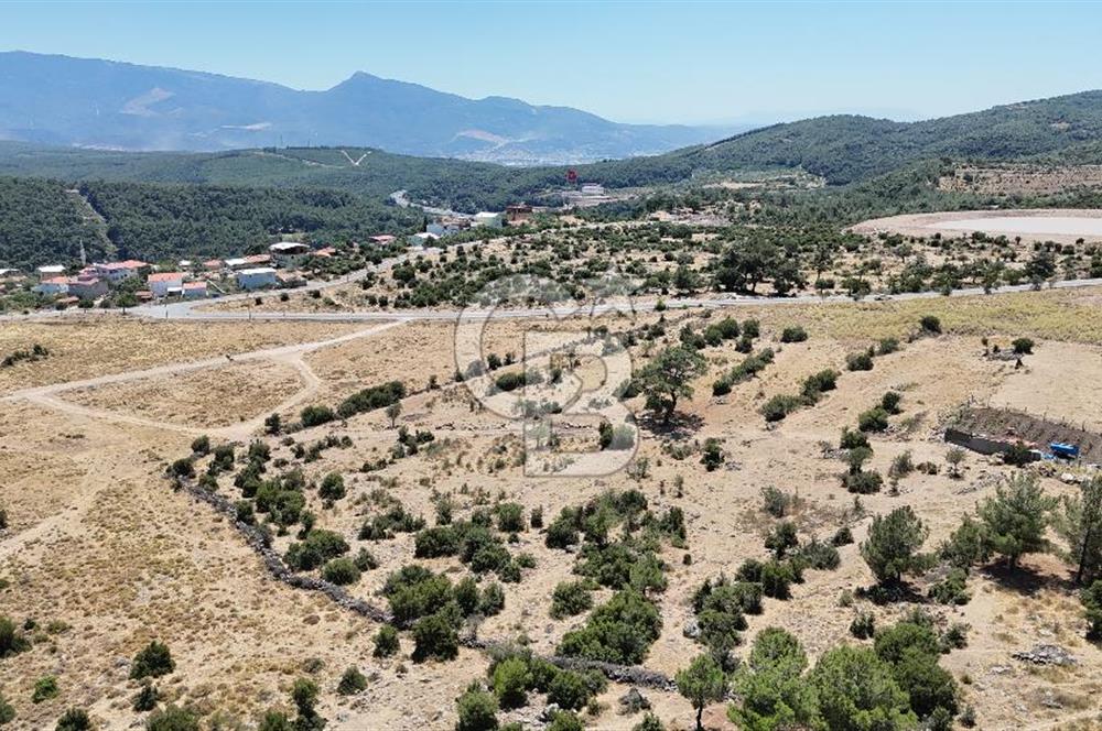 İZMİR BORNOVA KARAÇAM YOL CEPHELİ TARLA 