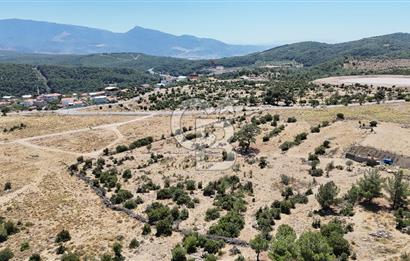İZMİR BORNOVA KARAÇAM YOL CEPHELİ TARLA 
