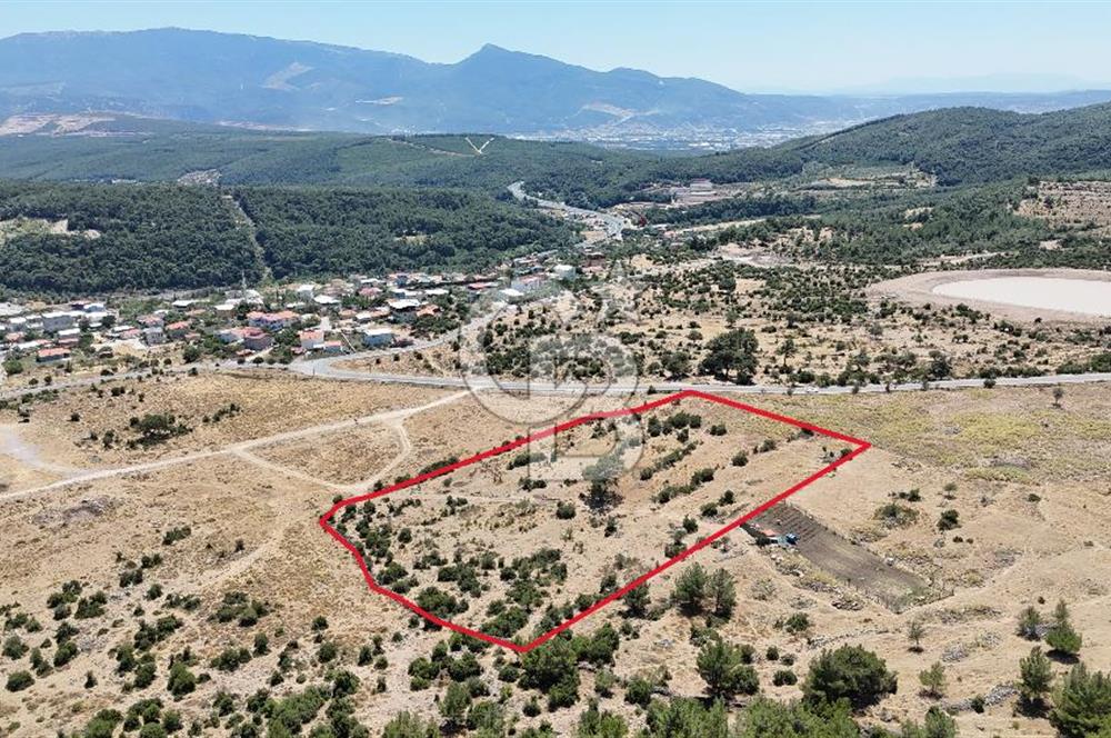İZMİR BORNOVA KARAÇAM YOL CEPHELİ TARLA 
