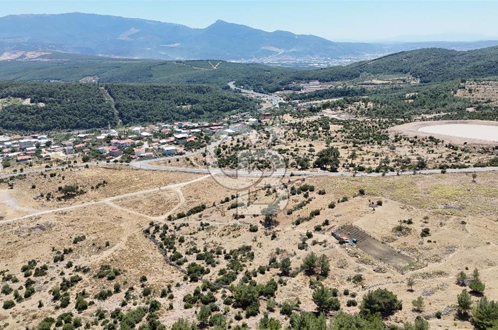 İZMİR BORNOVA KARAÇAM YOL CEPHELİ TARLA 