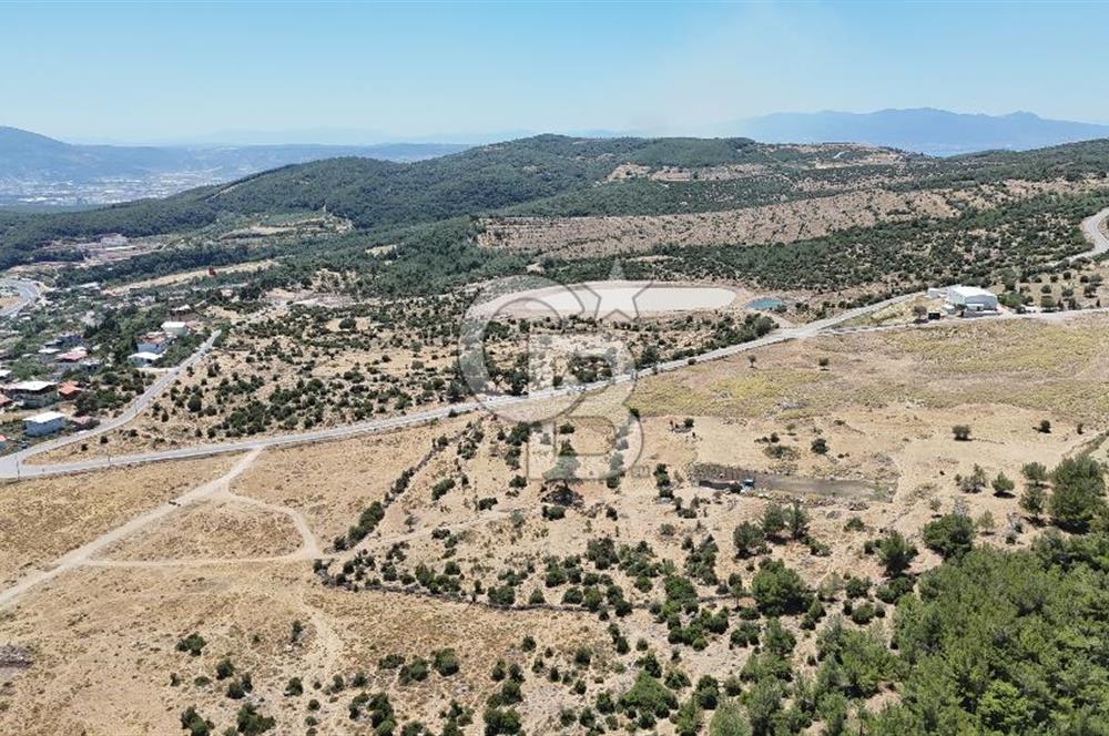 İZMİR BORNOVA KARAÇAM YOL CEPHELİ TARLA 
