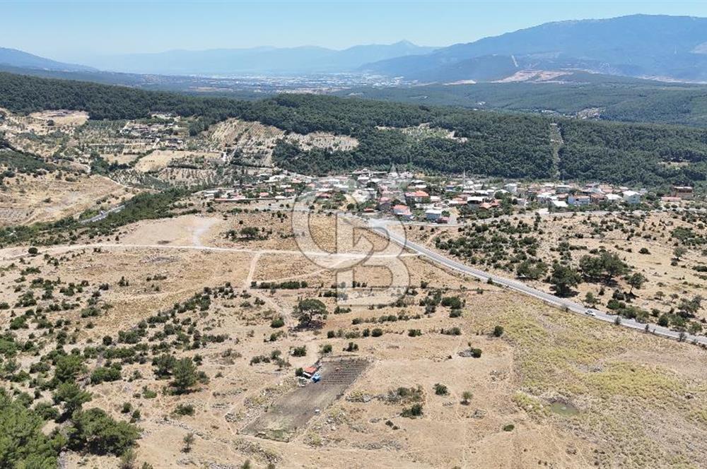 İZMİR BORNOVA KARAÇAM YOL CEPHELİ TARLA 